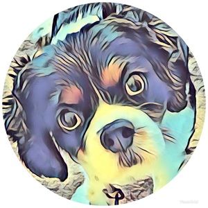 Meet your Posher, Leighann